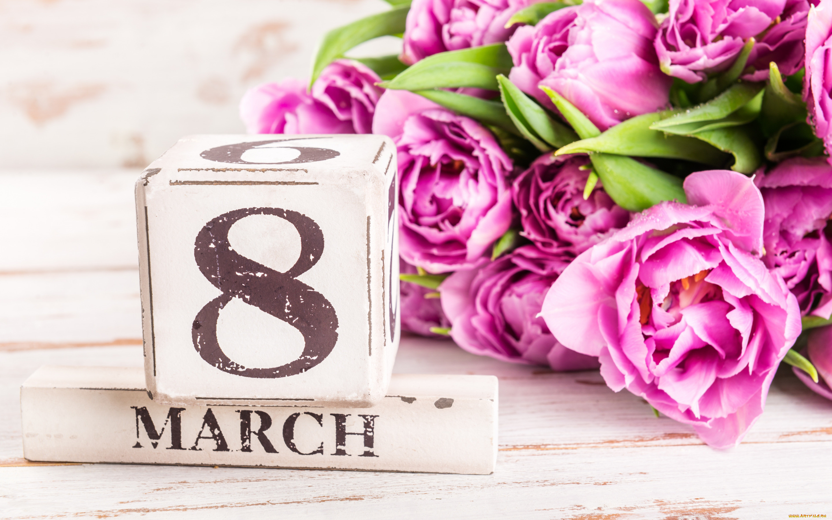 ,    - 8 , , , , 8, , pink, tulips, march